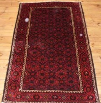 Red Belutsh